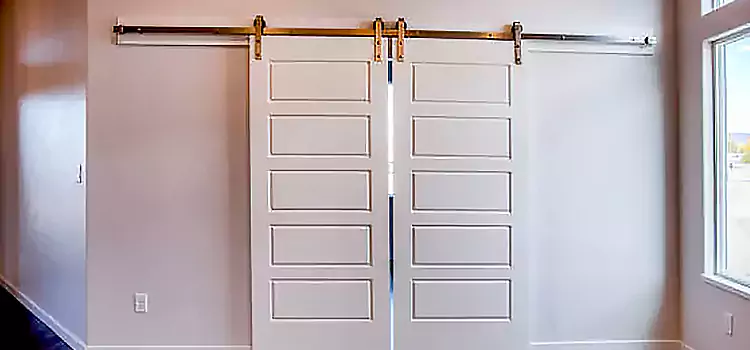 Glass Barn Door with Installation Hardware Kit Centerville