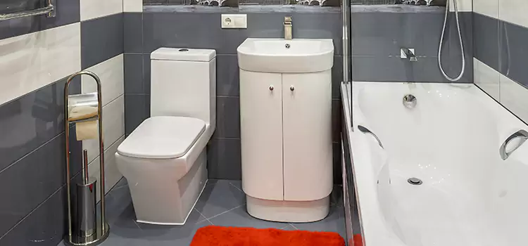 Hansgrohe Shaving Mirror Centerville